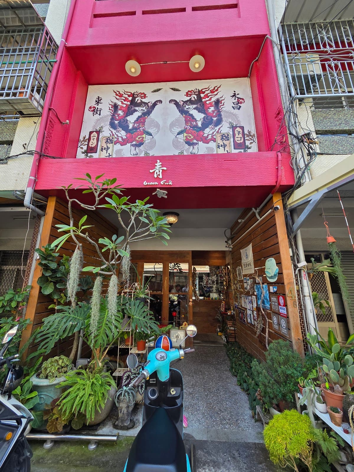 青食