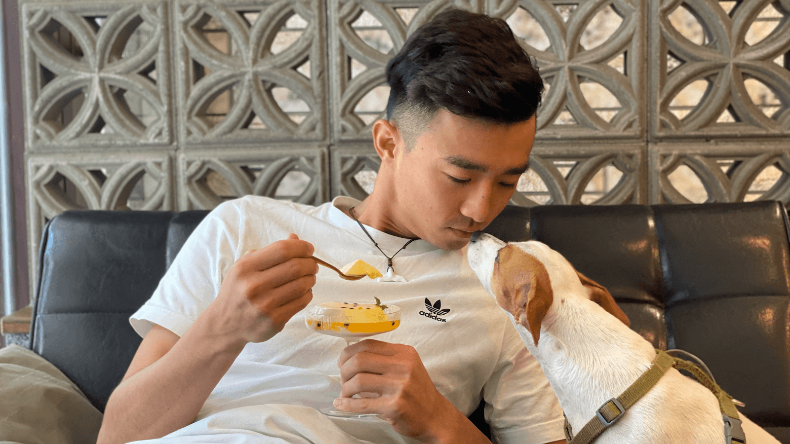 打勾勾人寵慢活(寵物餐廳/寵物蛋糕客製/寵物鮮食/寵物派對佈置規劃/多功能空間租借)-高雄寵物用品|苓雅高雄空間租借|高雄寵物派對|寵物用品|寵物蛋糕|寵物友善餐廳
