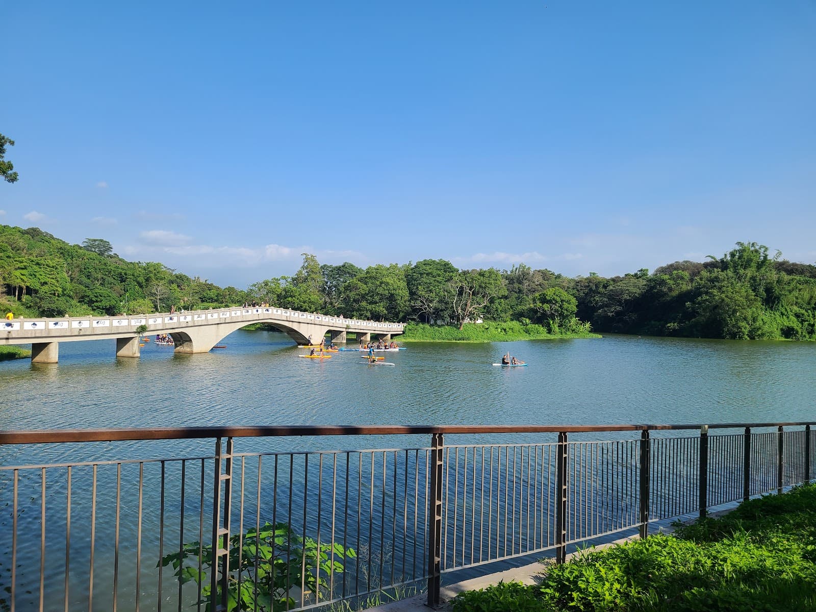 青草湖